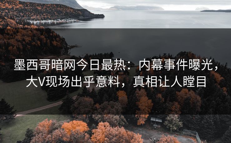 墨西哥暗网今日最热：内幕事件曝光，大V现场出乎意料，真相让人瞠目