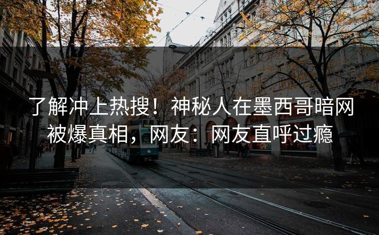 了解冲上热搜！神秘人在墨西哥暗网被爆真相，网友：网友直呼过瘾