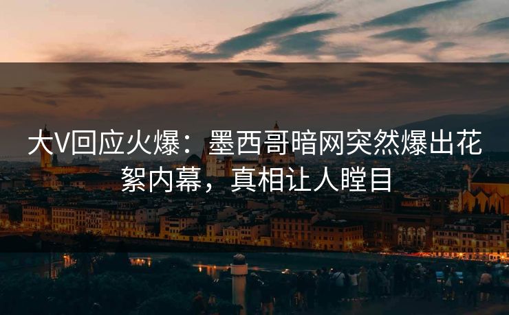 大V回应火爆：墨西哥暗网突然爆出花絮内幕，真相让人瞠目