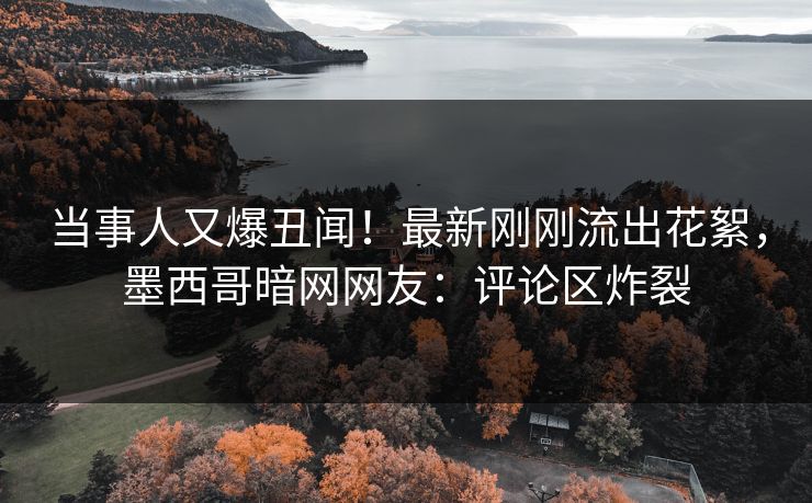 当事人又爆丑闻！最新刚刚流出花絮，墨西哥暗网网友：评论区炸裂