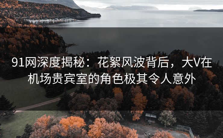 91网深度揭秘：花絮风波背后，大V在机场贵宾室的角色极其令人意外