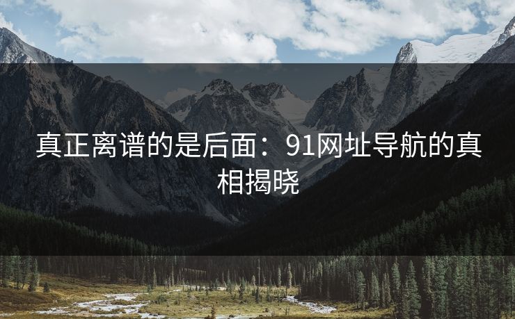 真正离谱的是后面：91网址导航的真相揭晓